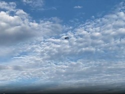 Ancam Tabrak Toko di AS Pakai Pesawat, Pilot Ditahan