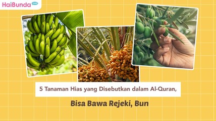 Detik Network