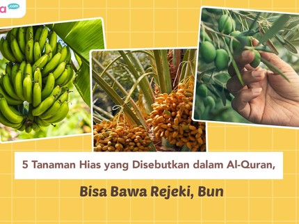 5 Tanaman Hias yang Disebutkan dalam Al-Quran, Bisa Bawa Rejeki, Bun