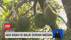 VIDEO: Ada Kisah di Balik Durian Medan