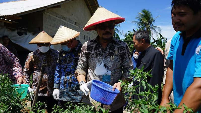 Menteri Pertanian, Syahrul Yasin Limpo, memimpin panen perdana Petani Milenial Kelompok Tunas Tani di Desa Margorejo