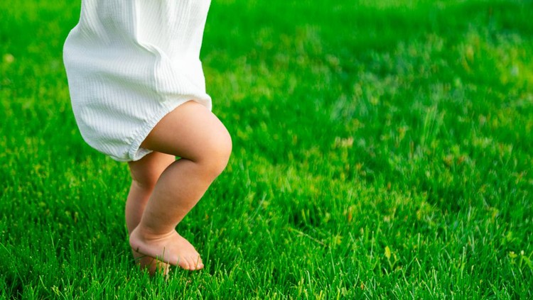 Ilustrasi Nyeker untuk Atasi GTM Crop close up of barefoot baby learning to take first steps outside on green lawn