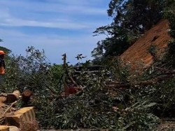 Sitinjau Lauik Longsor Lagi Timpa Truk, Jalur Padang-Solok Terputus