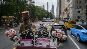 FOTO: Wisata Kereta Kuda Ikon New York Bakal Diganti Kereta Listrik