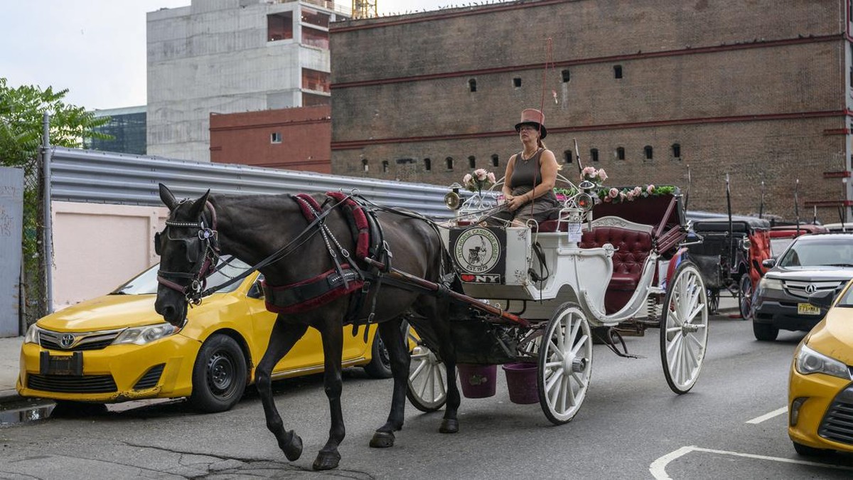 FOTO: Wisata Kereta Kuda Ikon New York Bakal Diganti Kereta Listrik