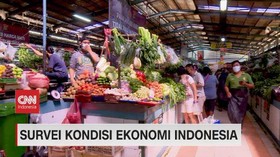 VIDEO: Survei Kondisi Ekonomi Indonesia