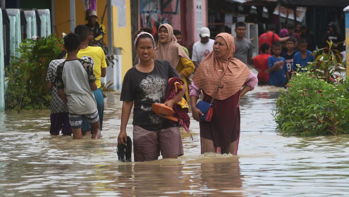 Banjir di Sigi Sulteng, 50 Hektare Sawah Terendam Air