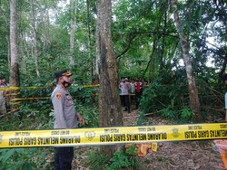 Kronologi Pembunuhan Siswi SMP di Lampung: Korban Digorok Pakai Kaca