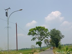 Duh! Onderdil Lampu PJU Tenaga Surya di Klaten Jadi Sasaran Maling