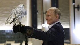 4 Wilayah Ukraina Ngebet Gabung Rusia, Putin di Atas Angin