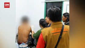 VIDEO: Harimau Serang Pekerja HTI, Korban Terluka Di Kepala Dan Leher