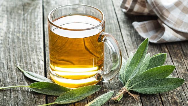 Selain olahraga, ramuan diet alami seperti rebusan daun juga bisa membantu mengempiskan perut buncit. Ini daftarnya!