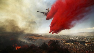 img-title FOTO: 'Si Jago Merah' Mengamuk di California