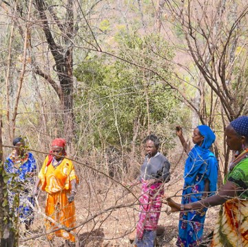 Dulu Sering Tebang Pohon hingga Gundul, Kini Perempuan di Kenya Utara Jadi Penyelamat Hutan untuk Lawan Perubahan Iklim