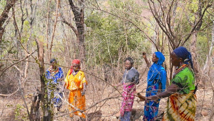 Dulu Sering Tebang Pohon hingga Gundul, Kini Perempuan di Kenya Utara Jadi Penyelamat Hutan untuk Lawan Perubahan Iklim