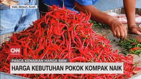 VIDEO: Harga Kebutuhan Pokok Kompak Naik