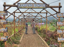 Kampung Bungur, Wisata dan Kawasan Ketahanan Pangan di Ciamis