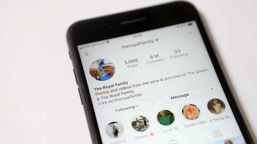 LONDON, ENGLAND - JUNE 11: In this photo illustration a view is seen of the Royal Family's Instagram account as Princess Anne, Princess Royal and Queen Elizabeth II speak to carers via video call to mark Carers Week 2020 on June 11, 2020 in London, England.  Princess Anne, Princess Royal founded Carers Trust, formally known as The Princess Royal Trust, to recognise and support carers across the UK. (Photo by Chris Jackson/Getty Images)