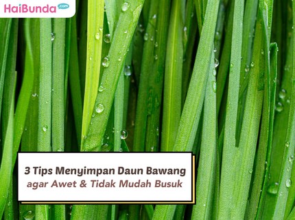 3 Tips Menyimpan Daun Bawang agar Awet & Tidak Mudah Busuk