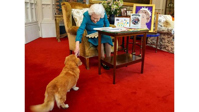 Warisan' Ratu Elizabeth II Buat Pangeran Andrew: Anjing Corgi