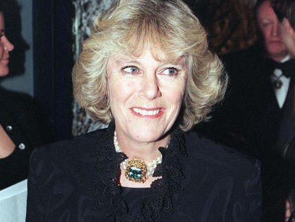 Pangeran Harry Disebut Tak Akur dengan Ibu Sambung Queen Consort Camilla