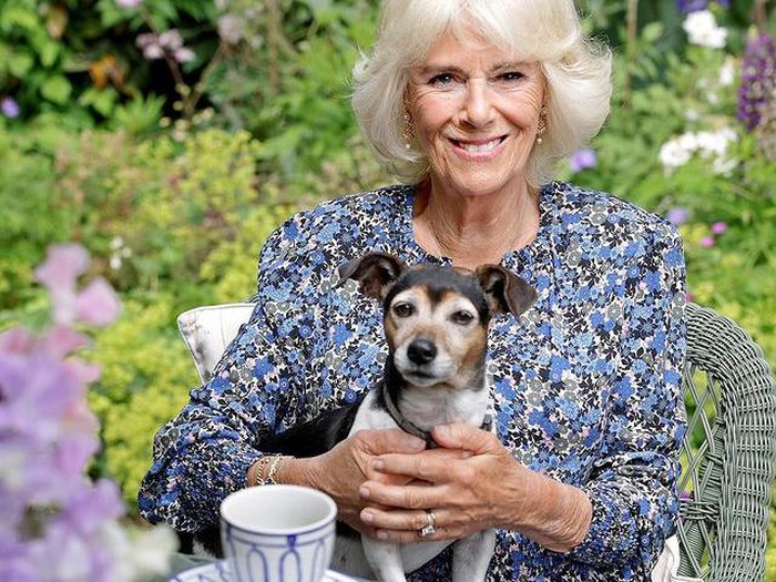 Camilla Parker adalah menantu Ratu Elizabeth II