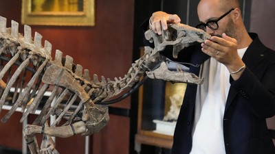FOTO: Fosil Dinosaurus Kecil 150 Juta Tahun Dilelang di Prancis