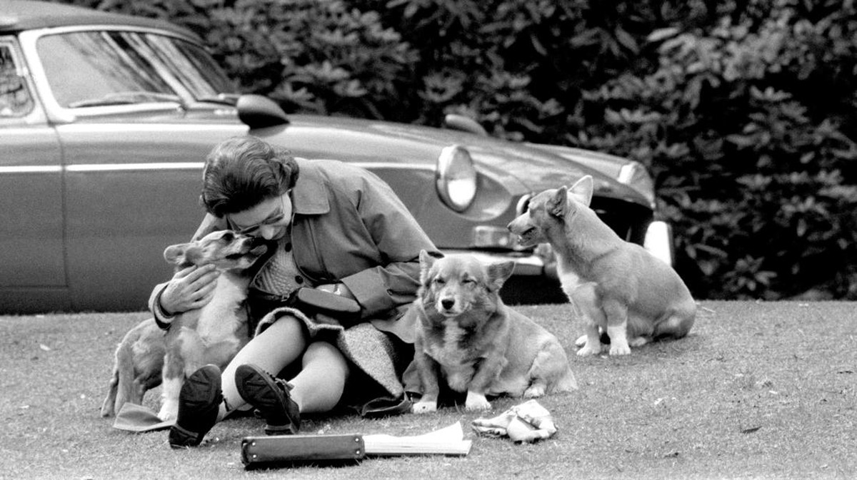 FOTO: Ratu Elizabeth II dengan Anjing-anjing Kesayangannya