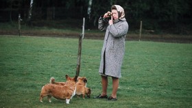 Ratu Elizabeth II Meninggal, Harga Anjing Corgi Favorit Ratu Melonjak