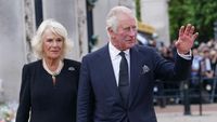 Cinta Raja-Ratu Inggris: Kenapa Charles Tak Nikahi Camilla Sejak Awal? - Vimarsana News