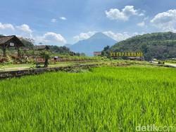 Pesona Wisata Baru Trawas, Surga di Kaki Pegunungan