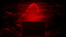 Hacker 'Gentayangan' Bidik Perusahaan, Apa yang Mesti Dilakukan?
