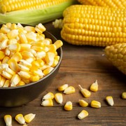 Bisa Bikin Berat Badan Turun, Ini 5 Alasan Kamu Wajib Coba Makan Jagung Saat Diet Menurut Ahli!