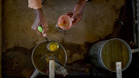 FOTO: Memanen Nilam, Menyuling Atsiri