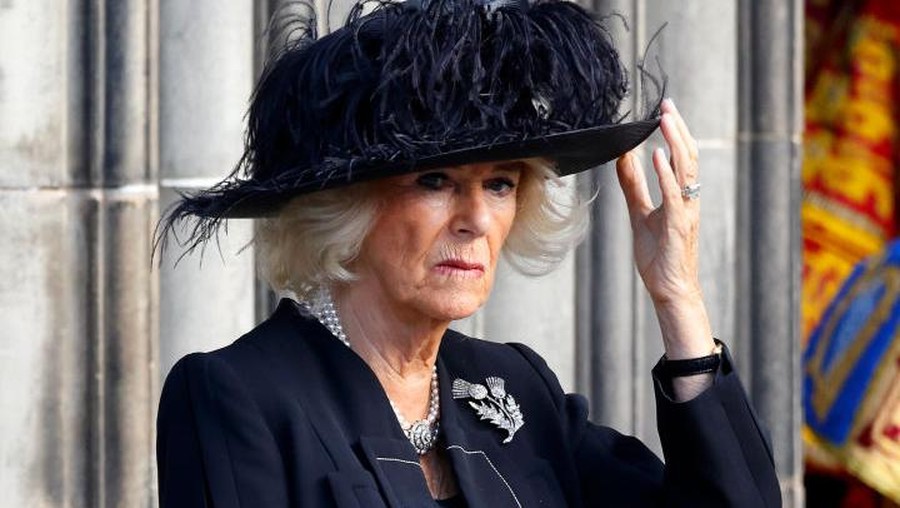 LONDON, UNITED KINGDOM - JULY 12: (EMBARGOED FOR PUBLICATION IN UK NEWSPAPERS UNTIL 48 HOURS AFTER CREATE DATE AND TIME) Camilla, Duchess of Cornwall attends a State Banquet at Buckingham Palace on day 1 of the Spanish State Visit on July 12, 2017 in London, England.  This is the first state visit by the current King Felipe and Queen Letizia, the last being in 1986 with King Juan Carlos and Queen Sofia. (Photo by Max Mumby/Indigo/Getty Images)