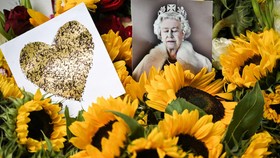 FOTO: Harum Ribuan Buket Bunga Matahari untuk Ratu Elizabeth II
