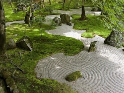 Taman Zen Bikin Rumah Adem, Begini Cara Buatnya