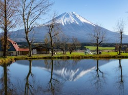 Siap-Siap Terpesona! Fasilitas Wisata di Kaki Gunung Fuji Dipermak Total