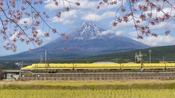 Cara dan Syarat Bikin Visa Waiver ke Jepang Online 2023