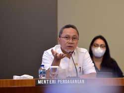 RI Genjot Kerja Sama dengan Rusia Kazakhstan, Bidik Ekspor Sawit-Sepatu