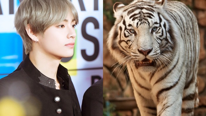 Ada yang Dapat Harimau, Ini Deretan Hadiah Super Unik yang Diterima Idol Korea Saat Ulang Tahun