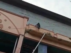 Viral Video Disebut Waria Mau Bunuh Diri di Pasar Rau Serang, Ini Faktanya