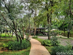 Hutan Kota: Pengertian, Fungsi, dan Contoh Tempatnya di Jabodetabek