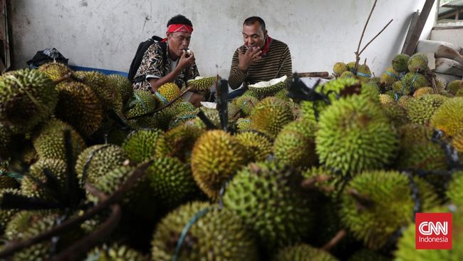 Festival Durian Hutumuri boleh jadi layaknya bentuk rasa syukur atas panen bertubi-tubi yang diberikan Tuhan.