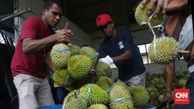 Punya Potensi Besar, Luhut Dorong Ekspor Durian ke China