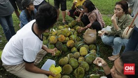 Awas Tinggi Kalori, Ini Batas Konsumsi Durian Agar Tetap Sehat