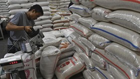 Kementan Ungkap Alasan Bulog Sulit Serap Beras dari Petani