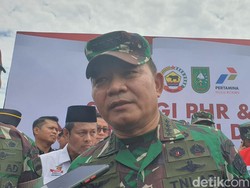 Effendi Simbolon Sebut TNI Gerombolan, Jenderal Dudung Tersinggung