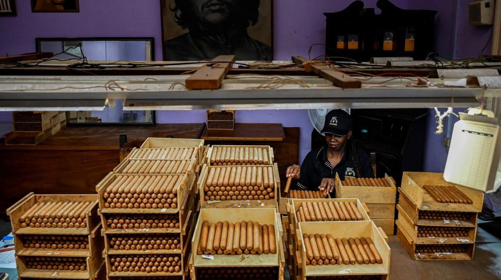 Ich liebe es, Zigarren herzustellen. Hier verbringe ich mein Leben, und das ist eine Kunst. Nicht jeder weiß, wie man Zigarren herstellt, so wie auch nicht jeder weiß, wie man malt, sagt der 55-jährige Fabrikarbeiter. | Bildquelle: © AFP/YAMIL LAGE | Bilder sind in der Regel urheberrechtlich geschützt