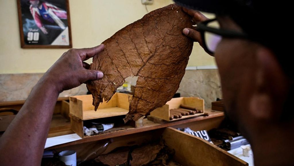 Orquidea Gonzalez, eine Fabrikarbeiterin, sitzt vor einer Maschine, die die Qualität der Zigarren prüft. Sie ist stolz darauf, die handwerkliche Tradition fortzuführen und zur Exportindustrie beizutragen, die während der Pandemie floriert hat. | Bildquelle: © AFP/YAMIL LAGE | Bilder sind in der Regel urheberrechtlich geschützt